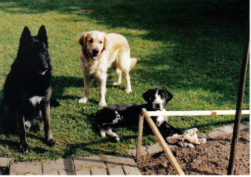 Fancy, Hanna & Genia